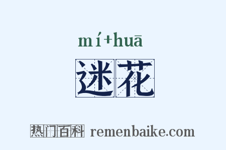 迷花是什么意思的图片
